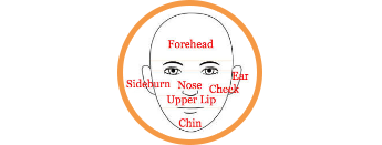 Facial Diagram