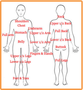 Body Areas